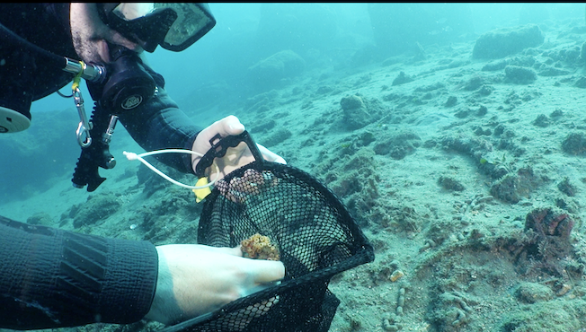 Screenshot 2025 12 14 Alle 14.47.52